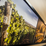 Prowein, Vinisud, Vinexpo, Sirha, Sial, Bordeaux, Paris, Lyon, Montpellier