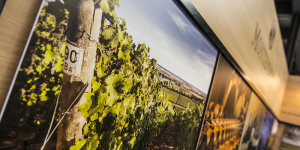 Prowein, Vinisud, Vinexpo, Sirha, Sial, Bordeaux, Paris, Lyon, Montpellier