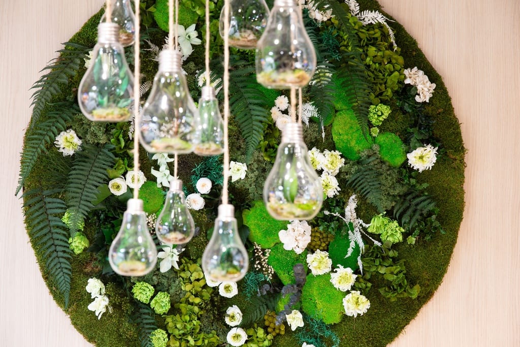 fleurs et plantes naturelles stabilisées