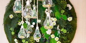 fleurs et plantes naturelles stabilisées