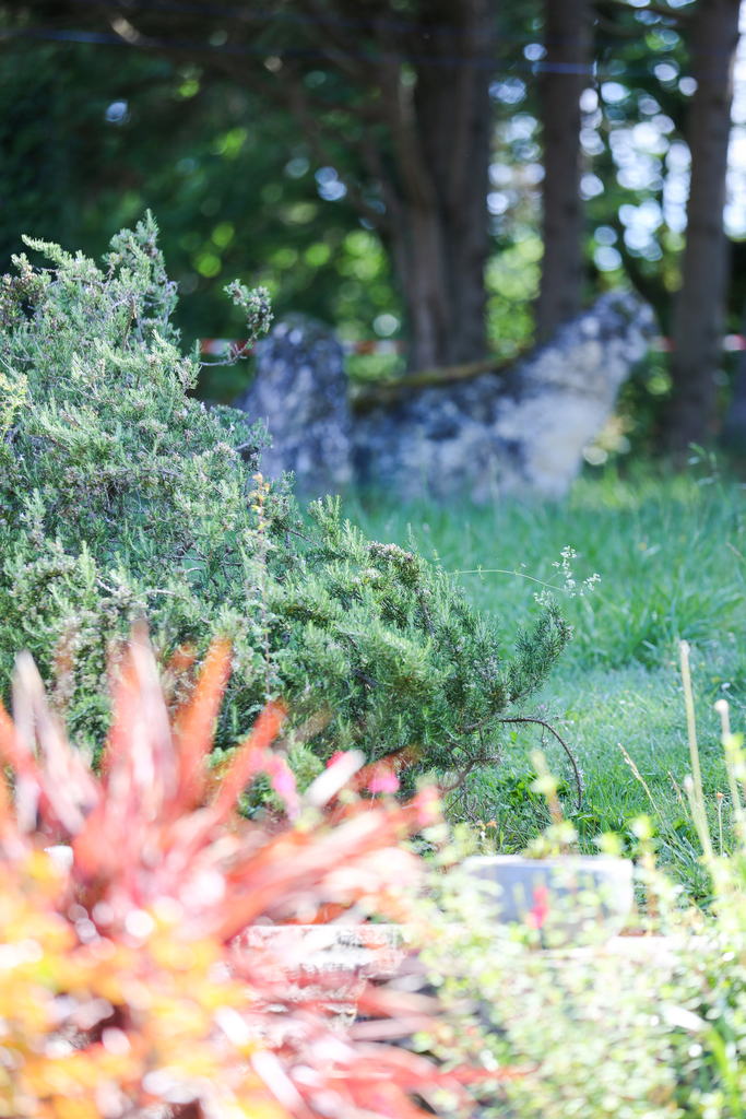 Mes interventions dans les Hautes-Pyrénées Jardin paysager fleuri autour d’une maison rénovée